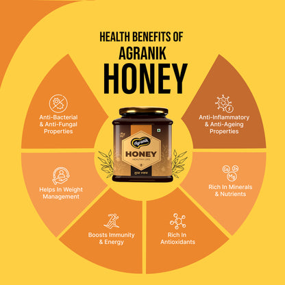 Agranik Pure Himalayan Honey | Multiflora Natural Honey Sourced from the Himalayas-500g