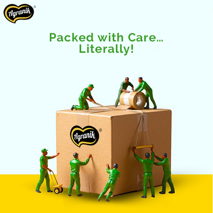 Agranik Healthy Snack Roasted Peanuts Pudina Flavour | Goodness of Olive Oil,  No Palm Oil, No Preservatives, High Protein Healthy Snack for Daily Use (200G)