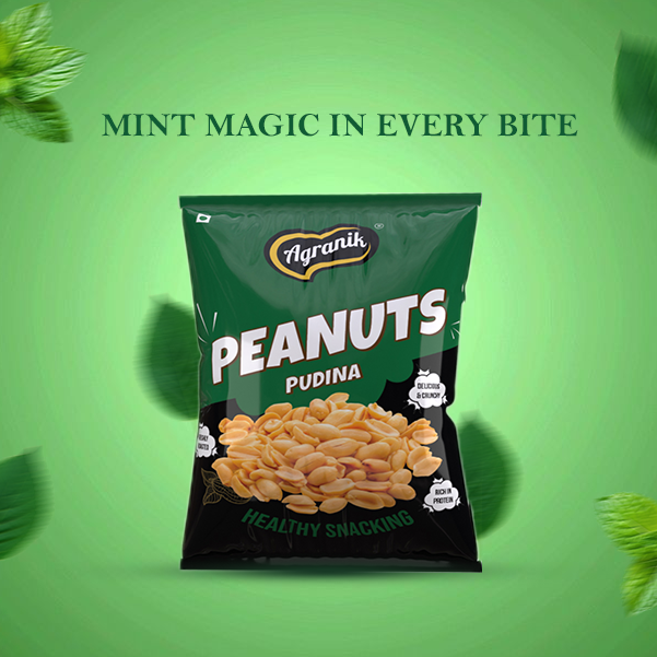 Agranik Healthy Snack Roasted Peanuts Pudina Flavour | Goodness of Olive Oil,  No Palm Oil, No Preservatives, High Protein Healthy Snack for Daily Use (200G)